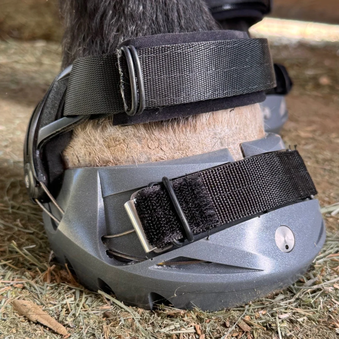Renegade® Viper Vivid™ Hoof Boot - Silver Streak - Image 12